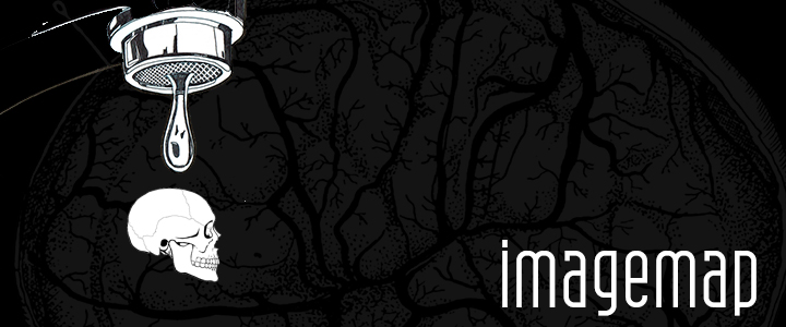 Banner-Design von roopaljain für Shams+Sheikh%2C+MD%2C+Inc | Design #2032986