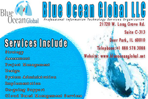 Diseño Publicitario por Frazzle Inc para Blue Ocean Global LLC | Diseño #1969270