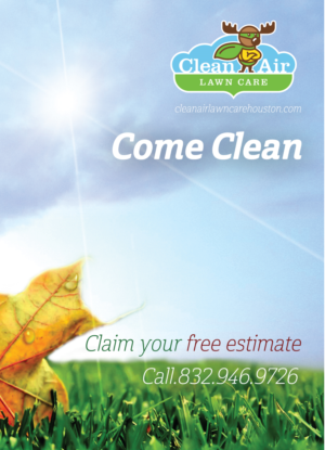 Postcard Design by DreamPiF for this project | Design #8211538