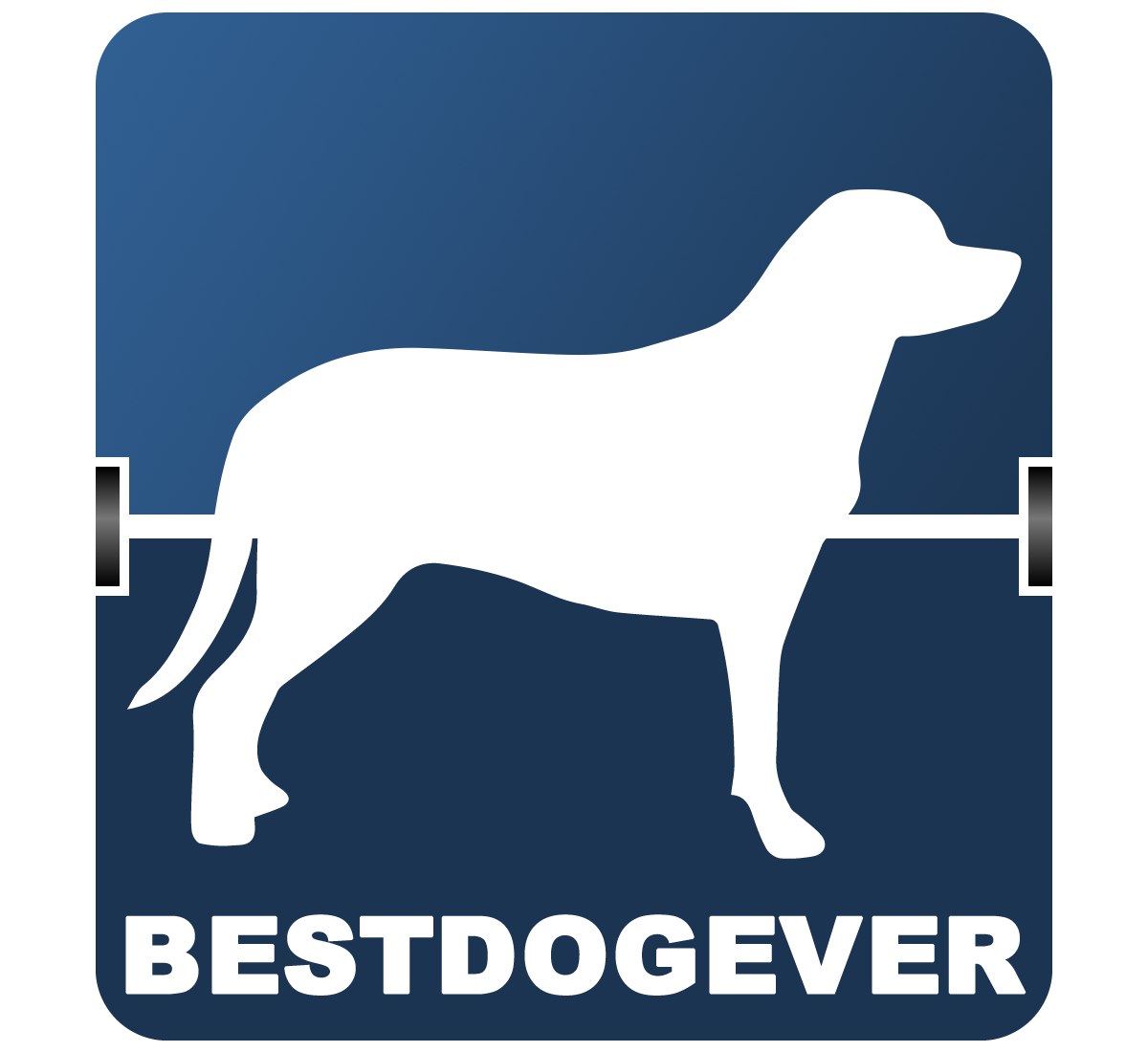 Logo Design by Pixelution Studios for David Jensen Photography | Design #8391594