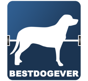 Logo Design by Pixelution Studios