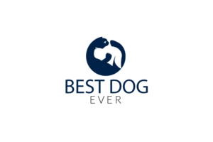 Logo Design by artisan bee 2022 for David Jensen Photography | Design: #8476482