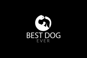 Logo Design by artisan bee 2022 for David Jensen Photography | Design: #8476483