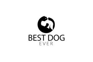 Logo Design by artisan bee 2022 for David Jensen Photography | Design: #8476485