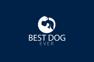 Logo Design by artisan bee 2022 for David Jensen Photography | Design: #8476486