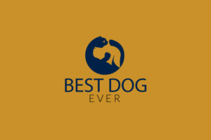 Logo Design by artisan bee 2022 for David Jensen Photography | Design: #8476490