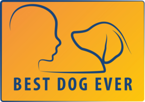 Logo Design by ninapixie