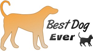 Diseño de Logo por Ashen Dushmantha para David Jensen Photography | Diseño #8210165