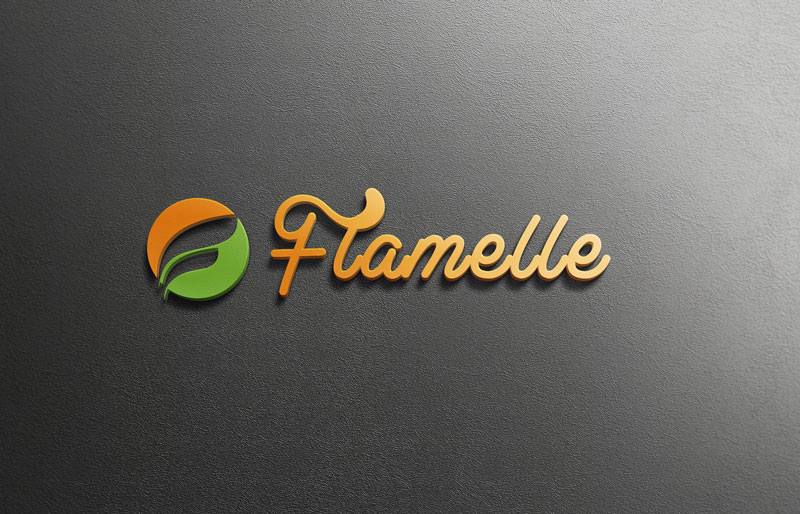 Logo Design by site for Flamelle | Design #8474753