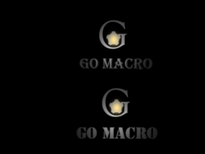Design de Logo par TS computer graphic pour Go Macro | Design : #8527629