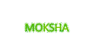 Logo Design by MacDesign
