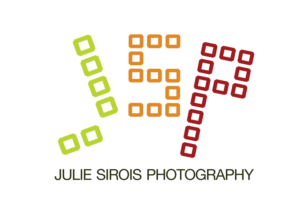 Logo-Design von Panayiotis Demou Graphics für dieses Projekt | Design #400143