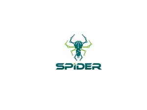 SPIDER | Logo-Design von Grapflix 2022
