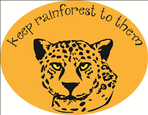 Logo Design by imagination