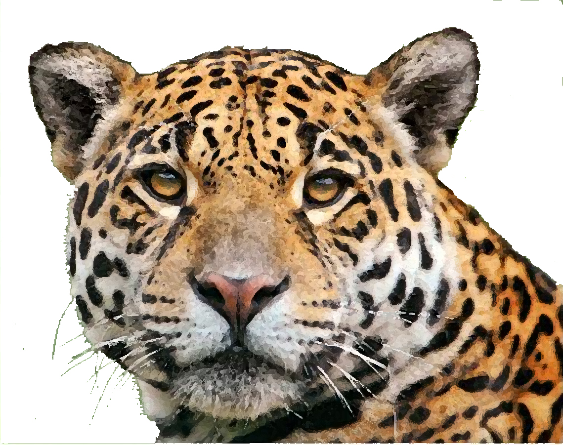 Logo Design by Giovanni for this project | Design #1985323