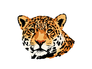 Logo Design by Chris