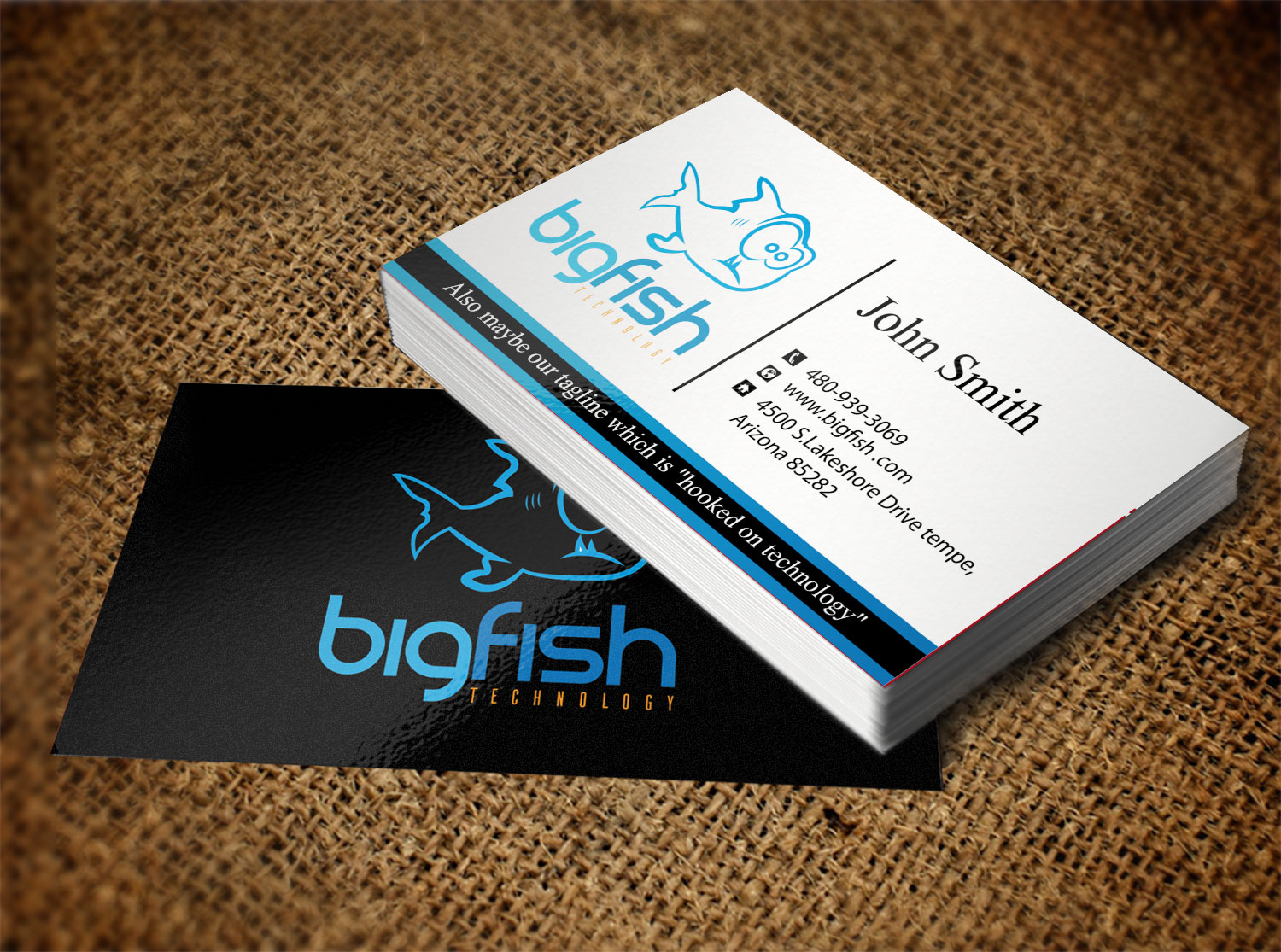 Business Card Design by Lanka Ama for Big Fish Computers | Design #8392441