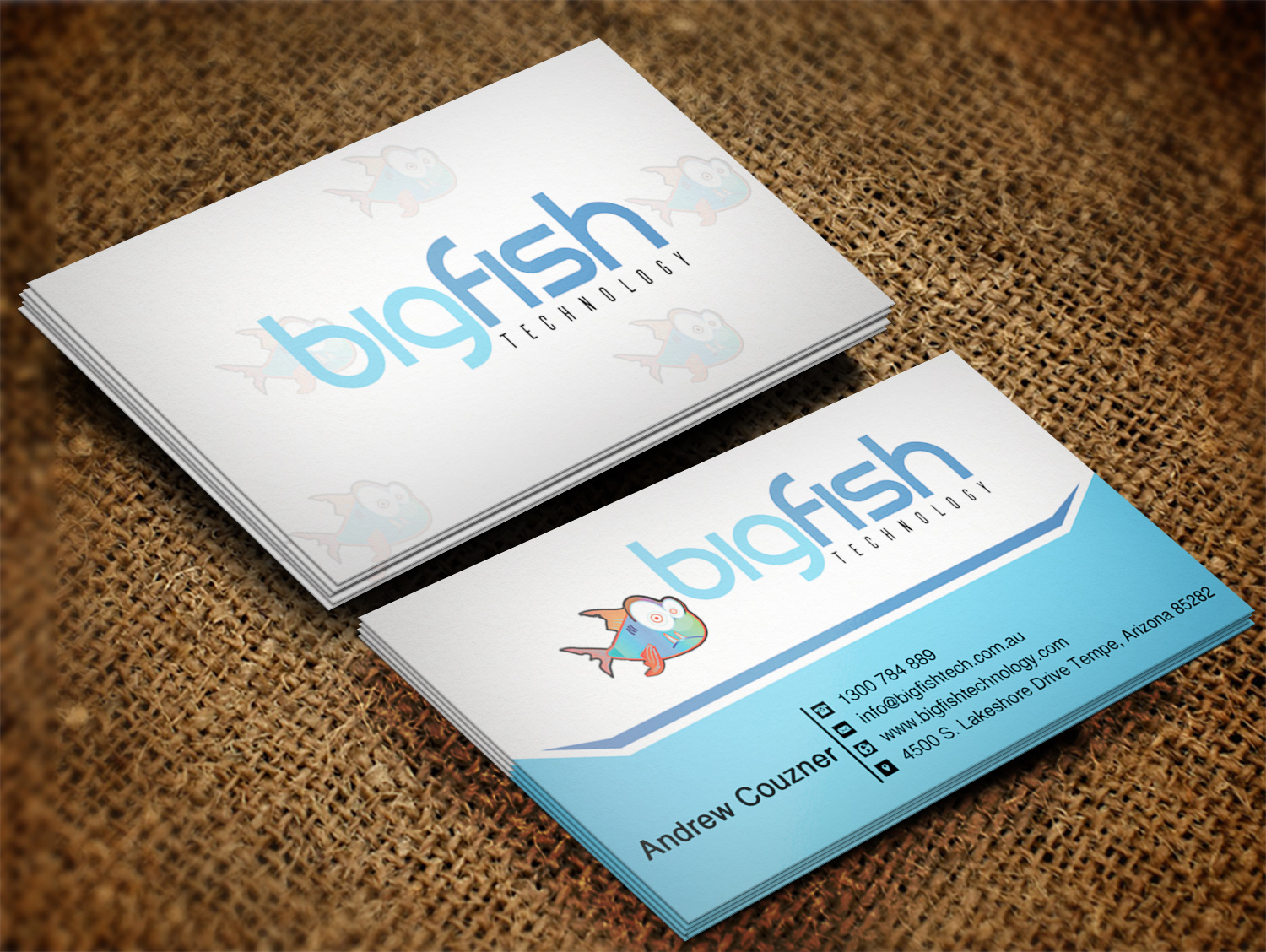 Business Card Design by Lanka Ama for Big Fish Computers | Design #8392446