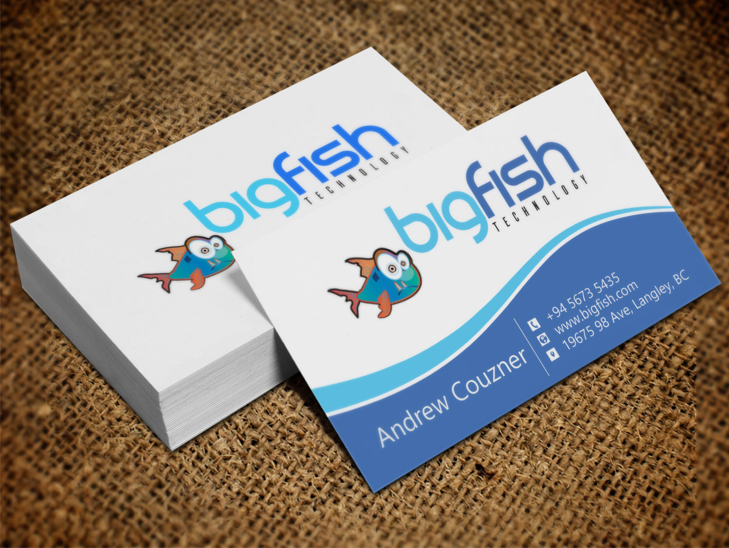 Visitenkarten-Design von Lanka Ama für Big Fish Computers | Design #8392449