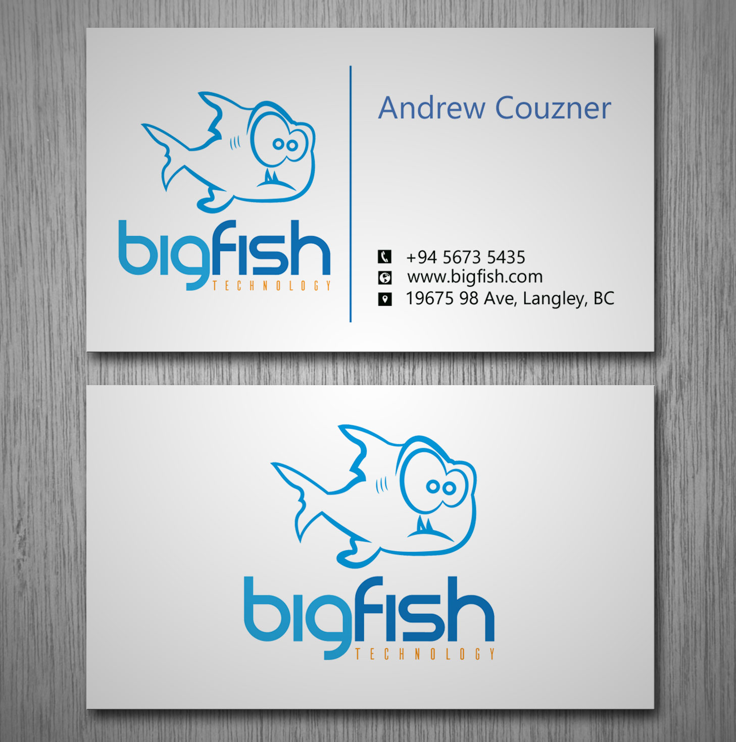 Business Card Design by Lanka Ama for Big Fish Computers | Design #8392450