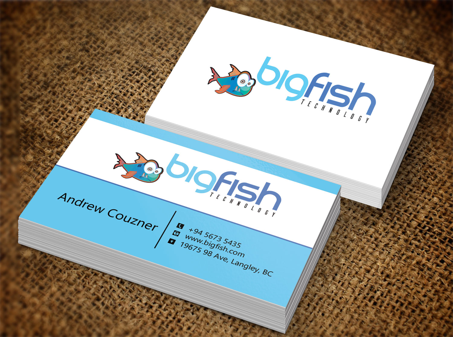 Business Card Design by Lanka Ama for Big Fish Computers | Design #8392451