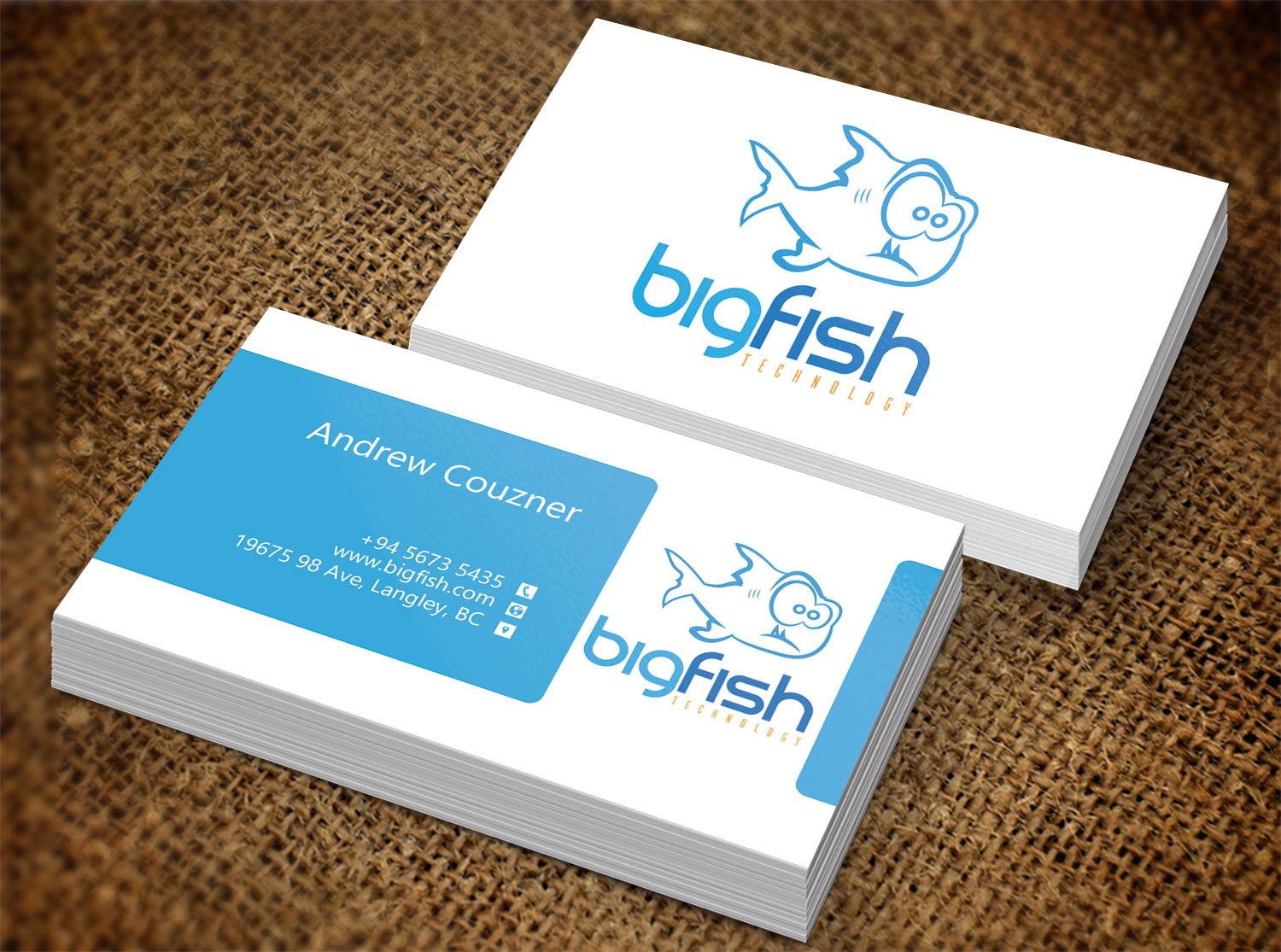 Visitenkarten-Design von Lanka Ama für Big Fish Computers | Design #8392453