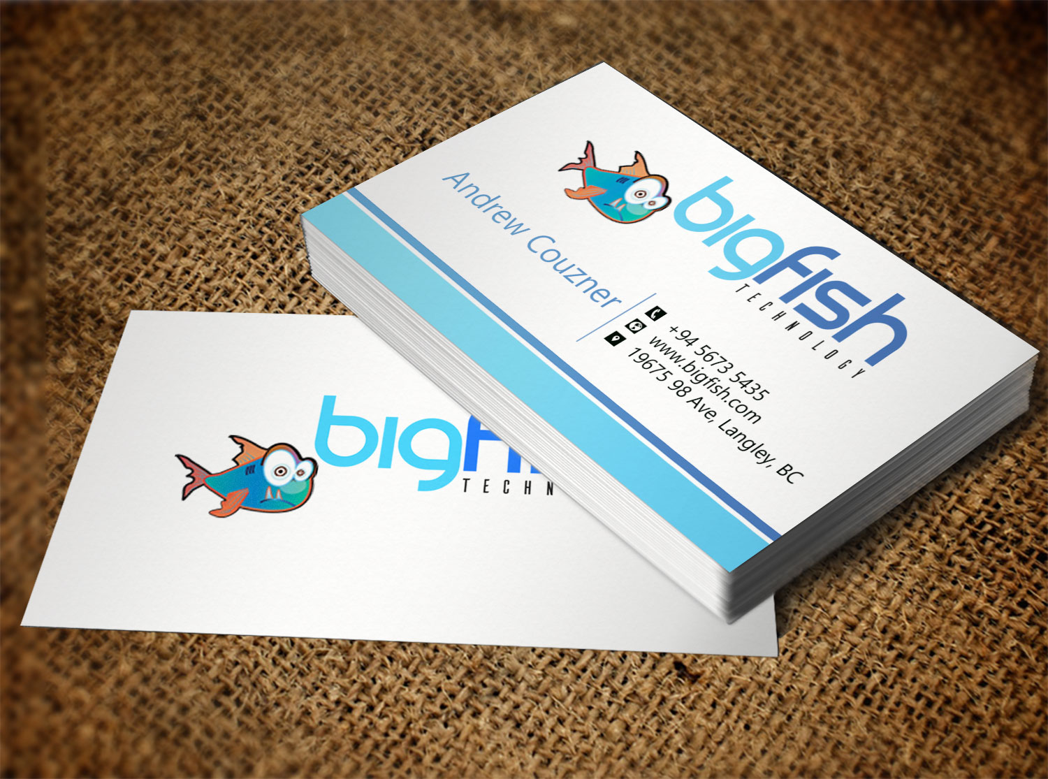 Visitenkarten-Design von Lanka Ama für Big Fish Computers | Design #8392454