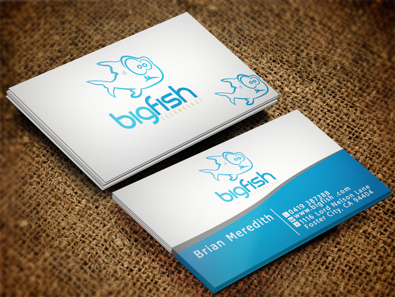 Visitenkarten-Design von Lanka Ama für Big Fish Computers | Design #8392458
