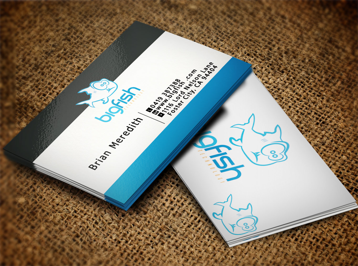 Visitenkarten-Design von Lanka Ama für Big Fish Computers | Design #8392461