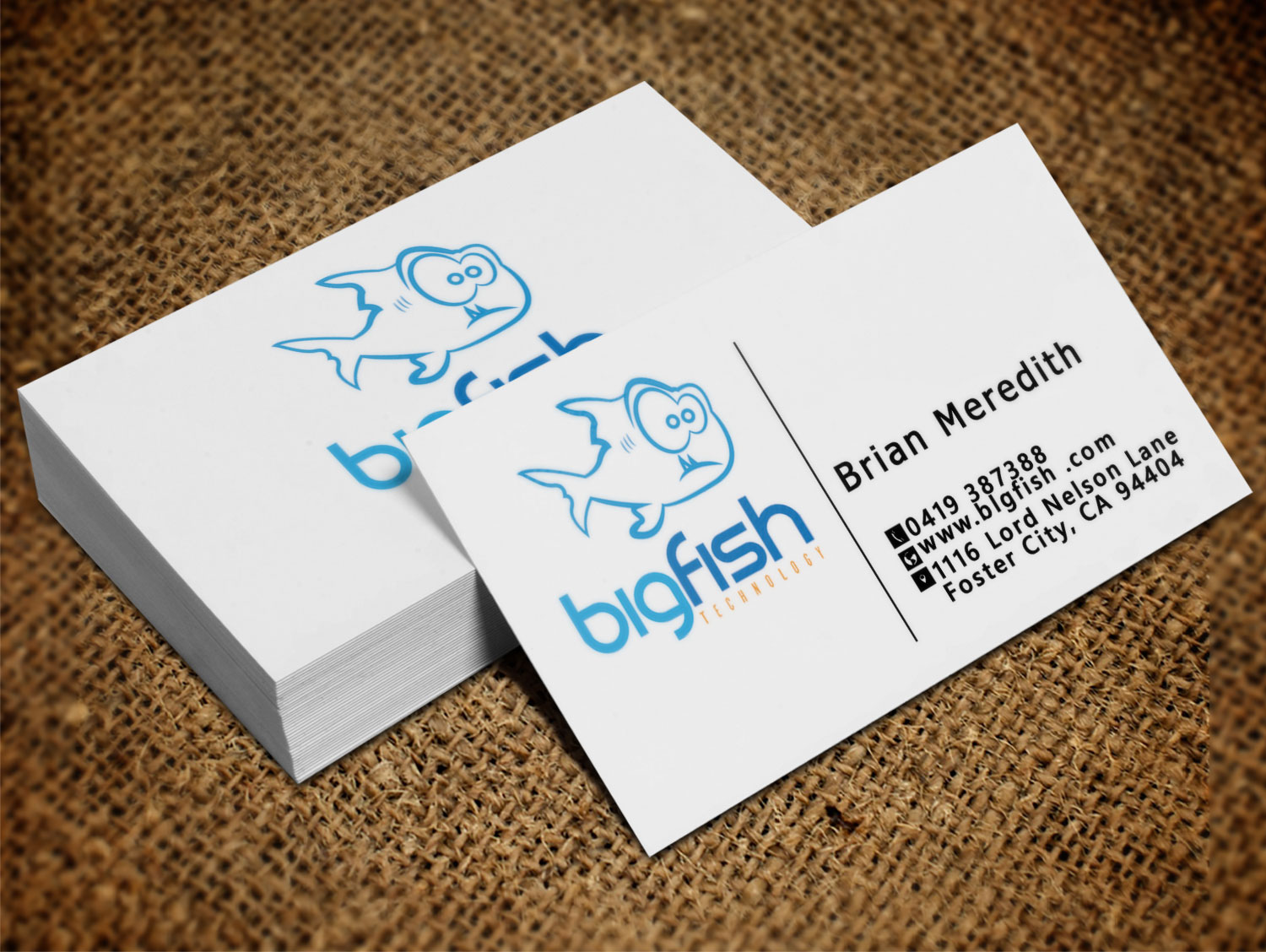 Business Card Design by Lanka Ama for Big Fish Computers | Design #8392464