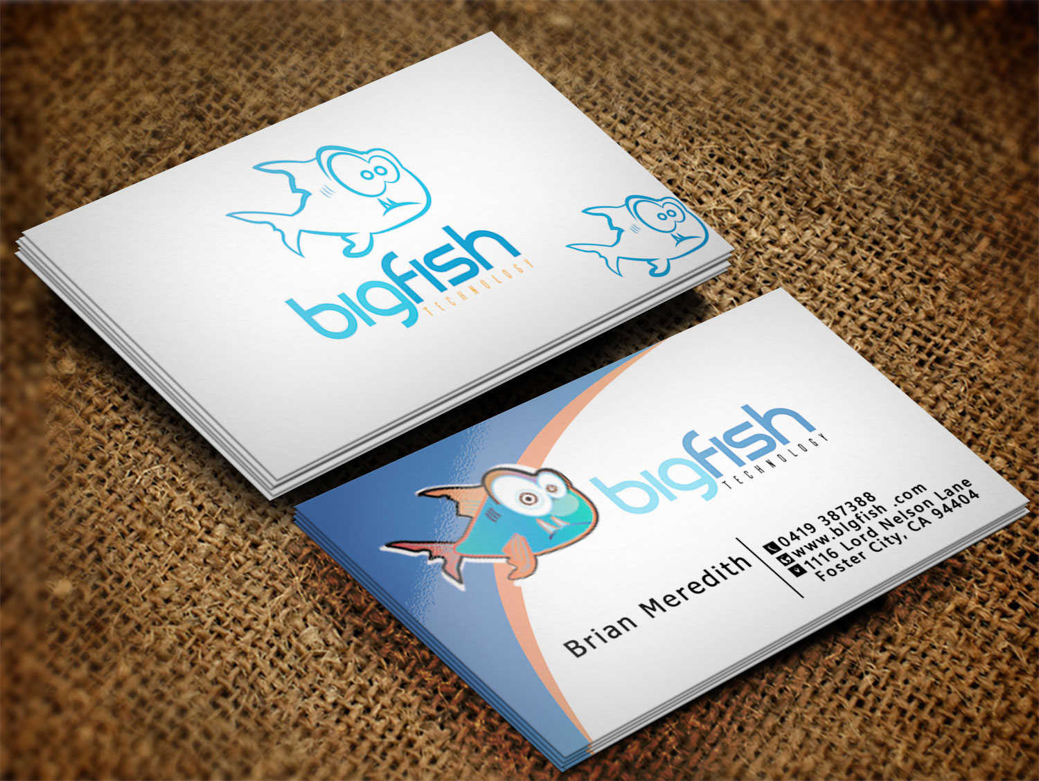 Business Card Design by Lanka Ama for Big Fish Computers | Design #8392465