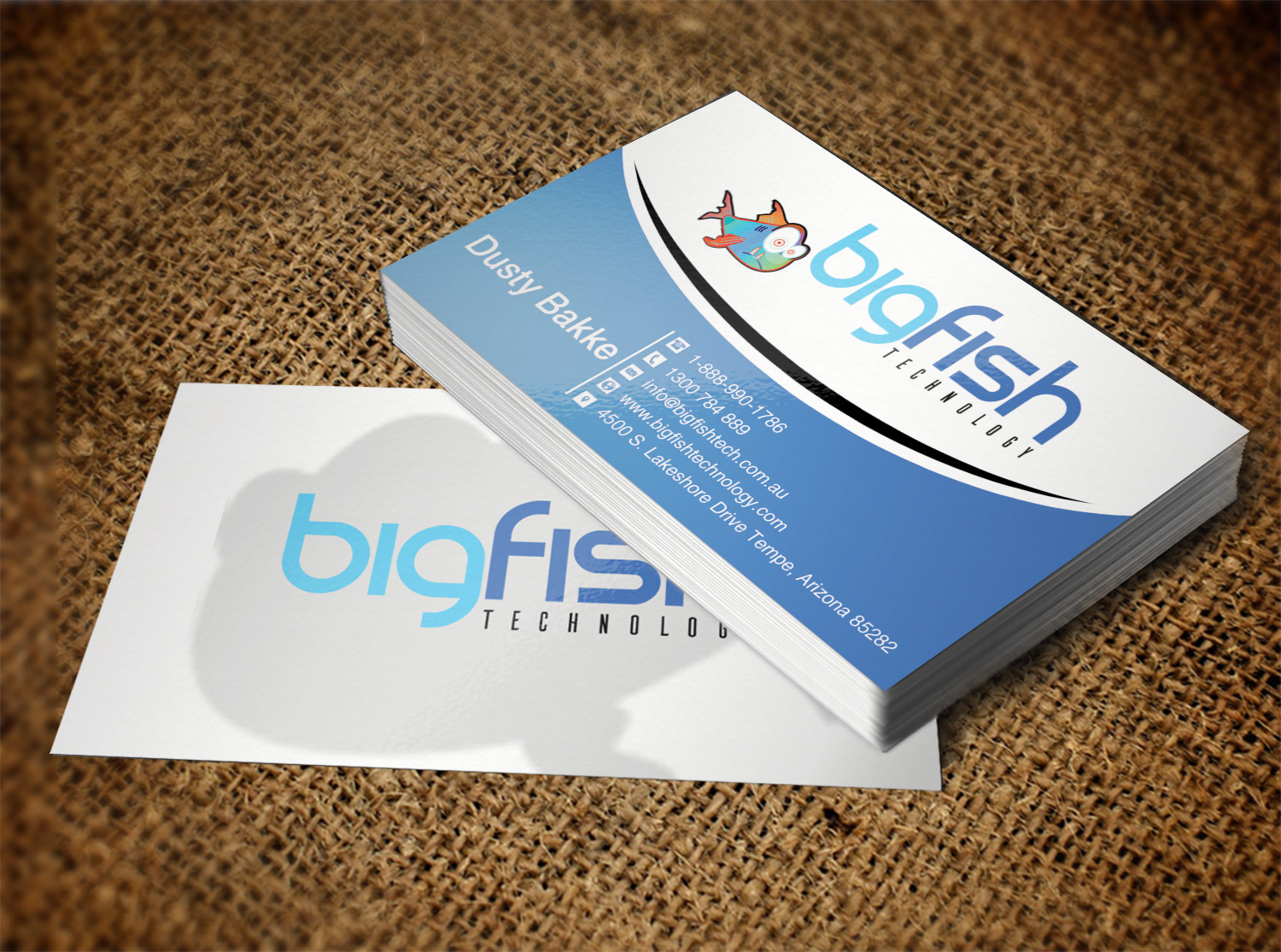 Business Card Design by Lanka Ama for Big Fish Computers | Design #8392467