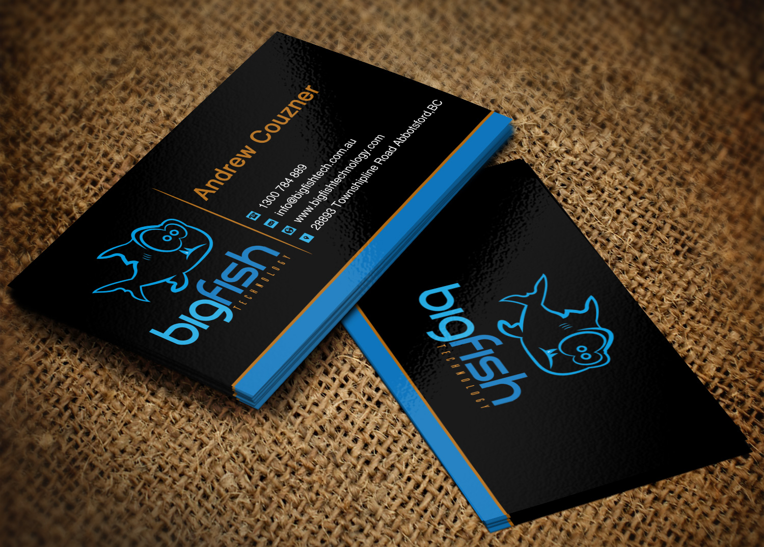 Business Card Design by Lanka Ama for Big Fish Computers | Design #8392468