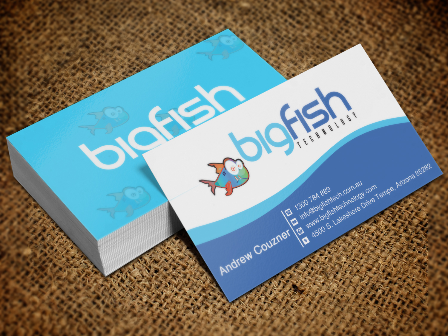 Business Card Design by Lanka Ama for Big Fish Computers | Design #8392469