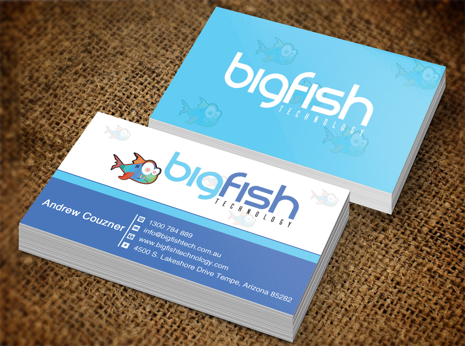 Business Card Design by Lanka Ama for Big Fish Computers | Design #8392471