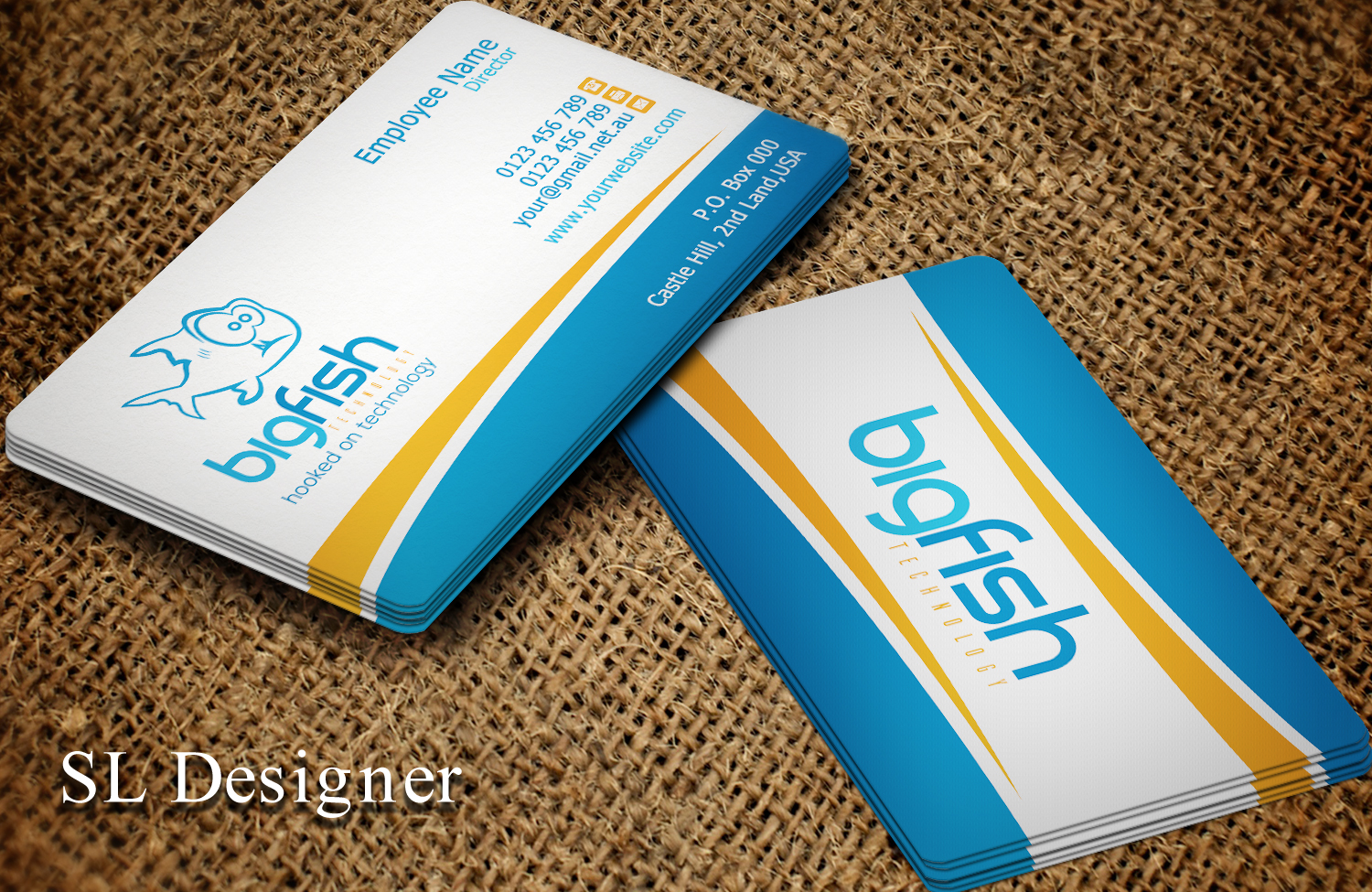 Business Card Design by SL Designer for Big Fish Computers | Design #8391171