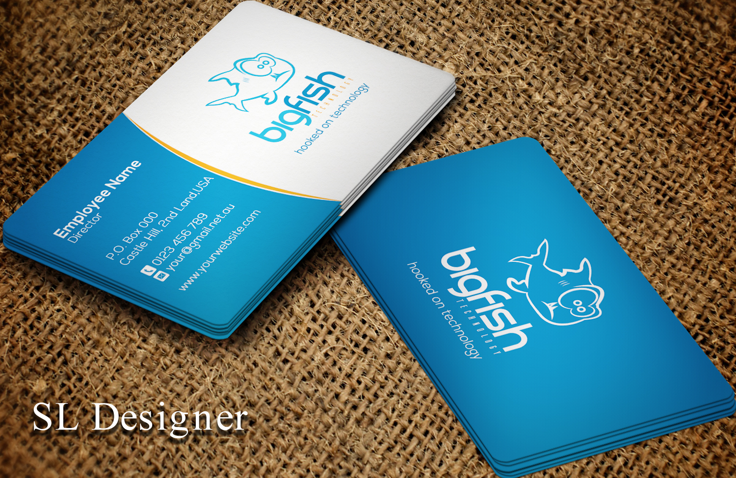 Business Card Design by SL Designer for Big Fish Computers | Design #8391183