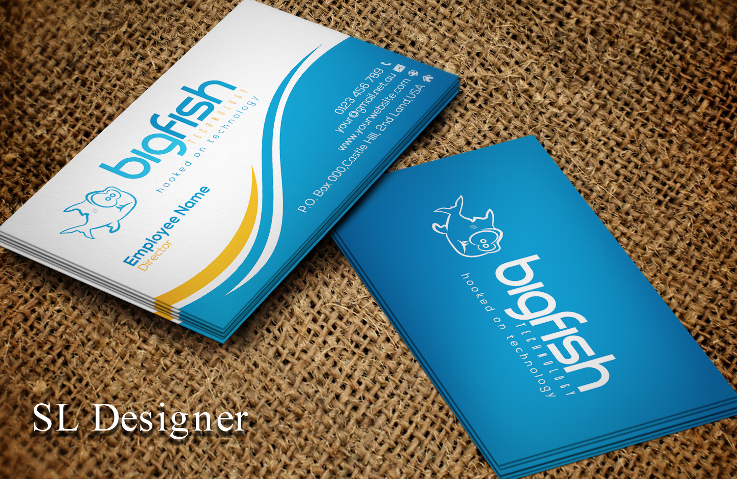 Business Card Design by SL Designer for Big Fish Computers | Design #8391194