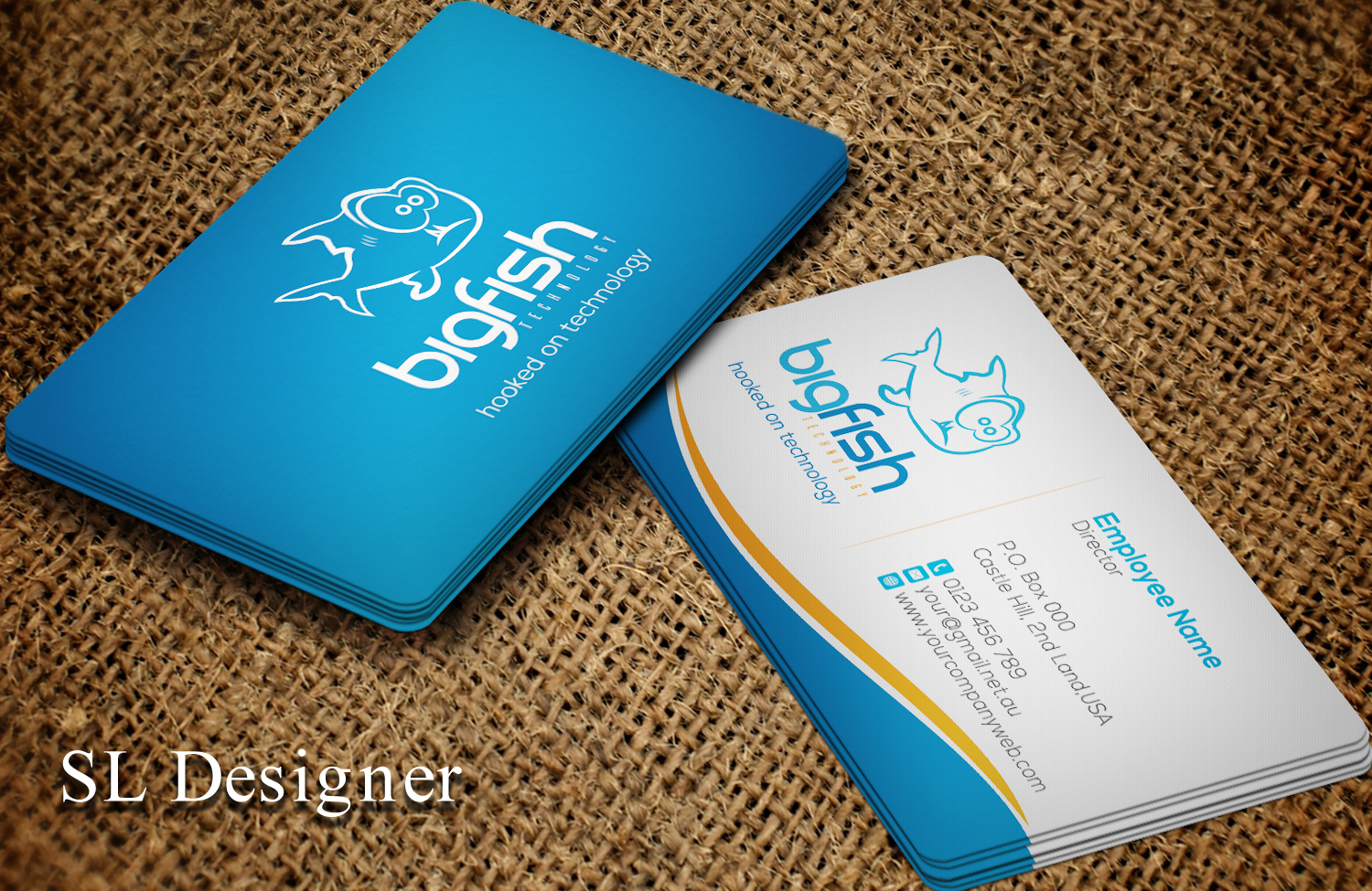Business Card Design by SL Designer for Big Fish Computers | Design #8391197