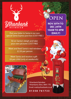 Flyer Design by Sbss for Ythanbank Reindeer | Design: #1974999