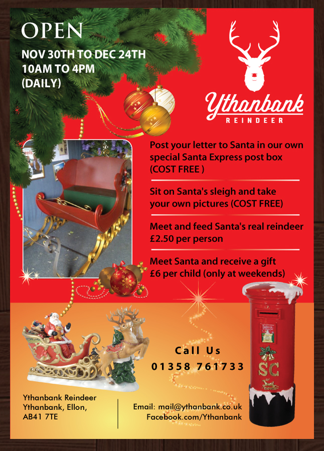 Flyer Design by Sbss for Ythanbank Reindeer | Design #1975048
