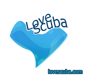 Logo Design by milo83 for Arkangel Ltd | Design: #1983356