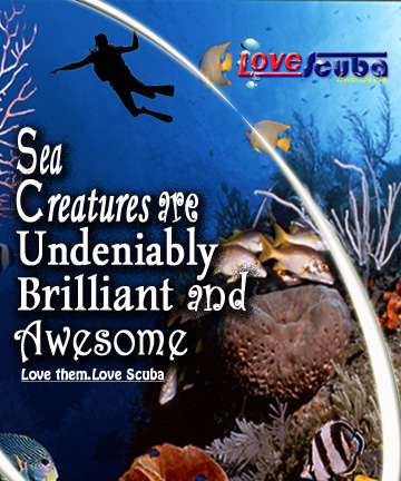 Logo Design by ed Point for Arkangel Ltd | Design #1982249