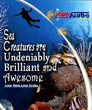 Logo Design by ed Point for Arkangel Ltd | Design: #1982249