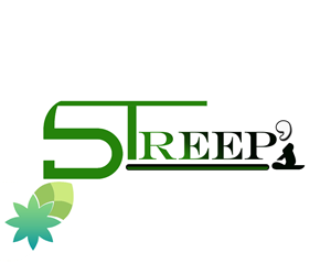 Logo-Design von Sapphire für Streep Holdings, LLC | Design: #1973243