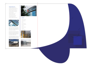 Packaging Design by Rajith Shantha Caldera for Cliqued Media | Design: #9179052