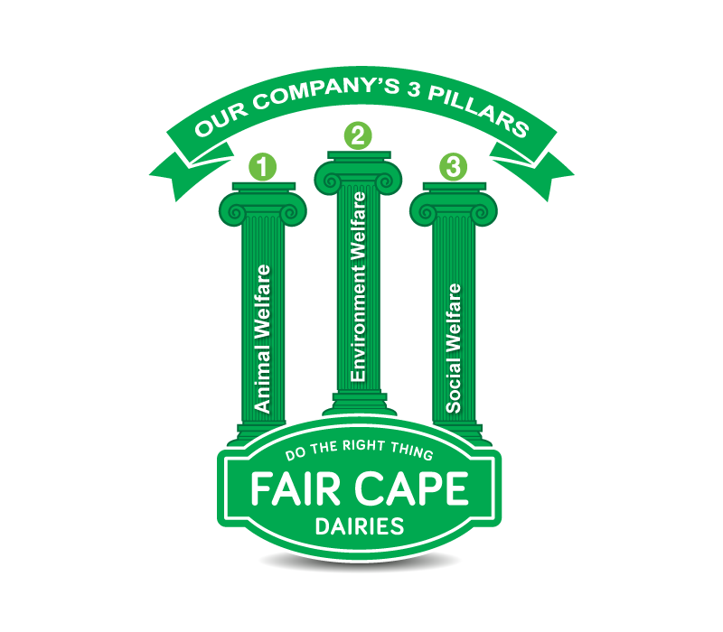 Logo Design by pivotaldesign.biz for Fair Cape Dairies  | Design #8531551
