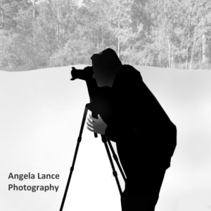 Diseño de Logo por designerone para este proyecto | Diseño: #9168199