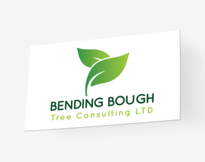 Logo Design by mjsteadfast