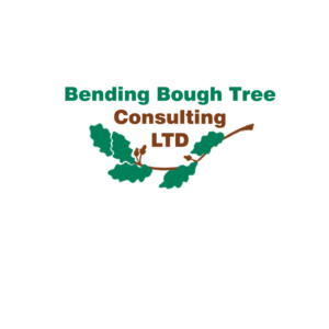 Logo Design by Art Vision